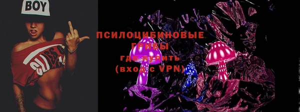 Альфа ПВП Аркадак