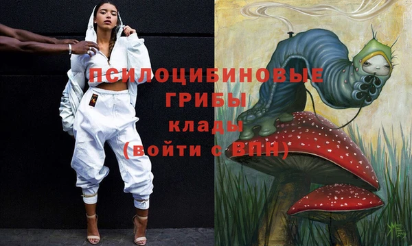 Альфа ПВП Аркадак