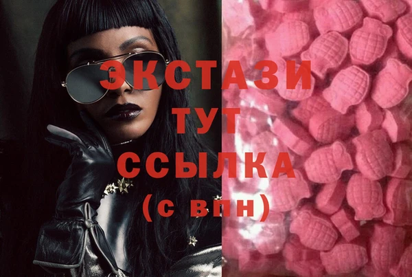 гидра Армянск