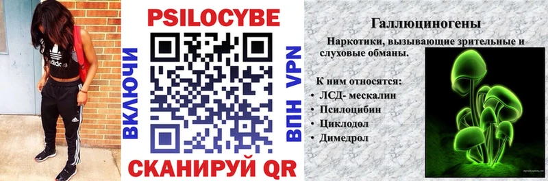 Псилоцибиновые грибы Psilocybe  хочу   Новый Уренгой 