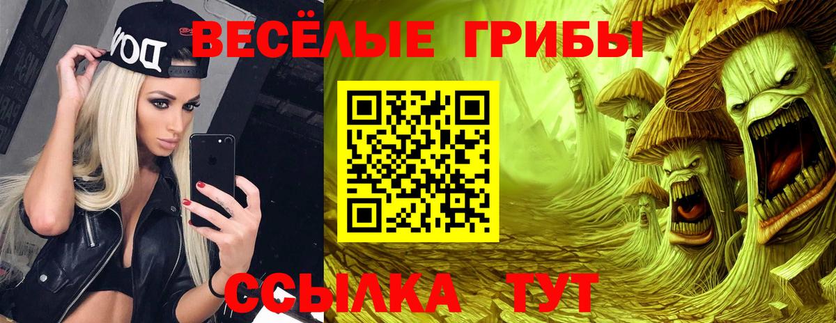 Новый Уренгой  Псилоцибиновые грибы ЛСД  цены   Вход с VPN 